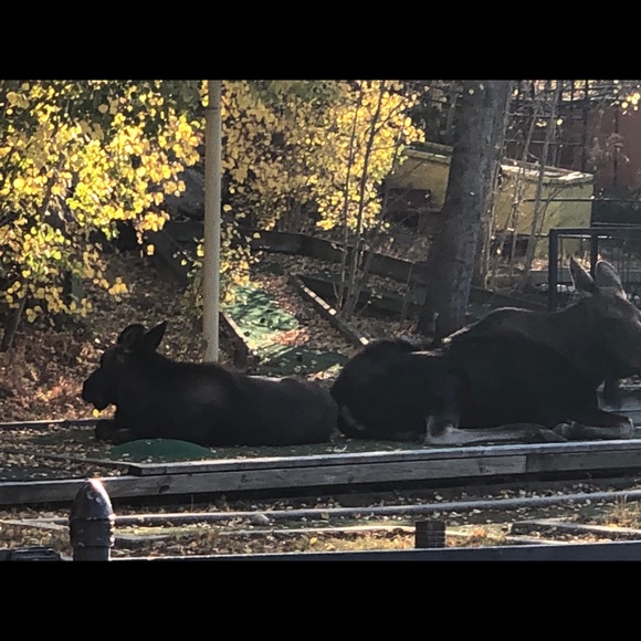 Meet your Posher, Jason - Picture 1 of 1